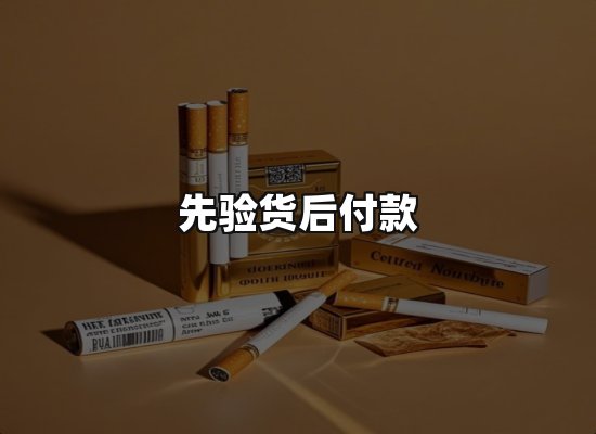 专业优势